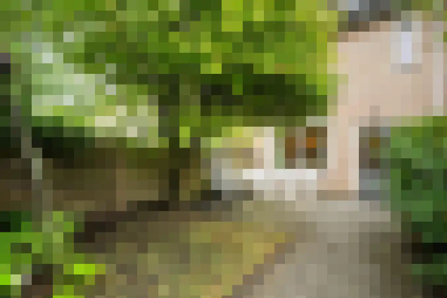 Uiverweide 26 Wageningen thumbnail 37