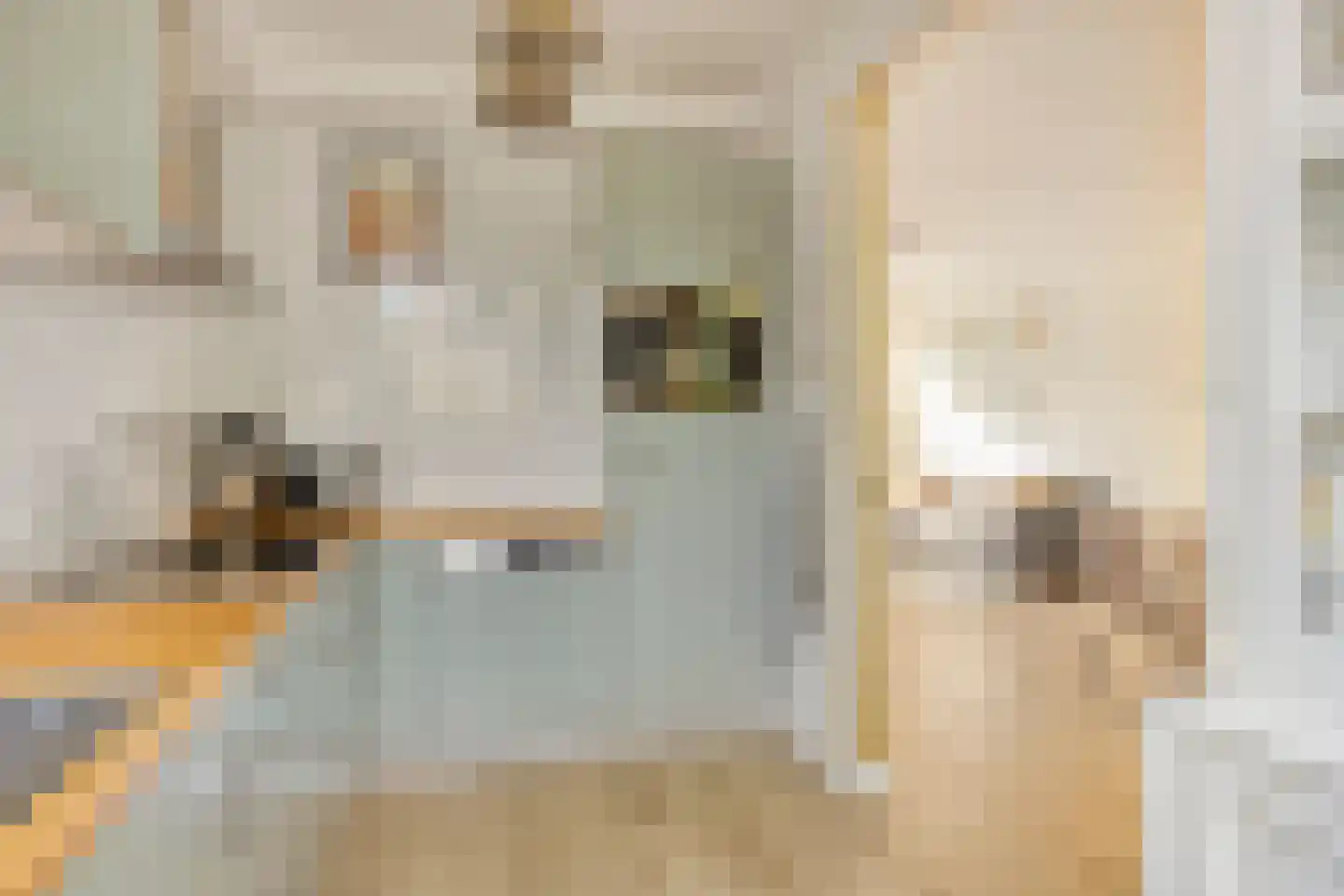 Ukkelstraat 6 Breda thumbnail 16