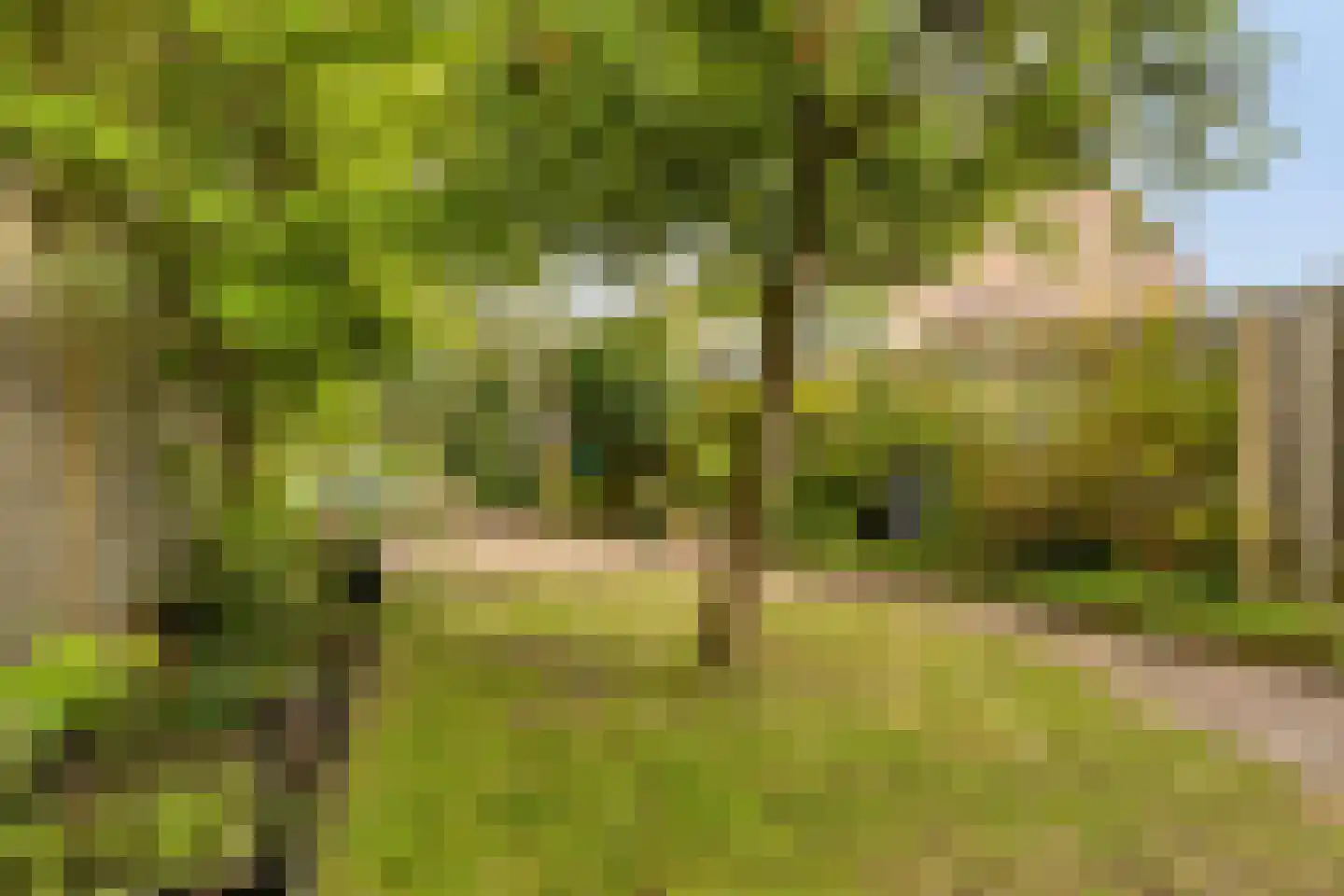 Ukkelstraat 6 Breda thumbnail 30