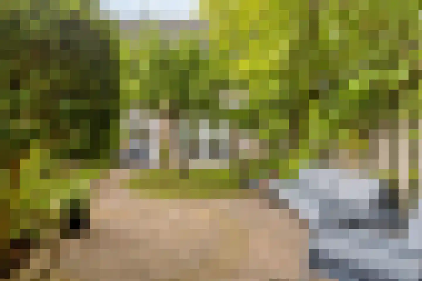 Ukkelstraat 6 Breda thumbnail 34