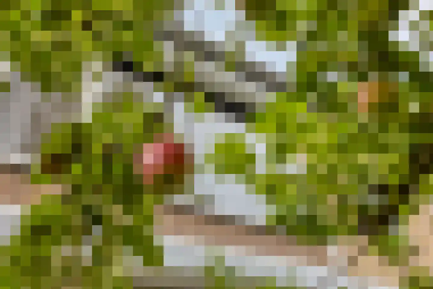 Ukkelstraat 6 Breda thumbnail 36