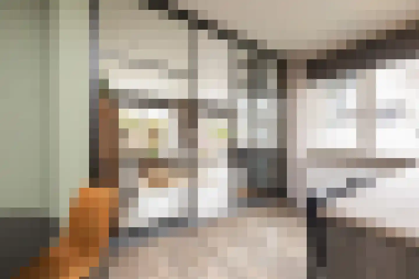 Ulbe Hiemstrastrjitte 4 Witmarsum thumbnail 10