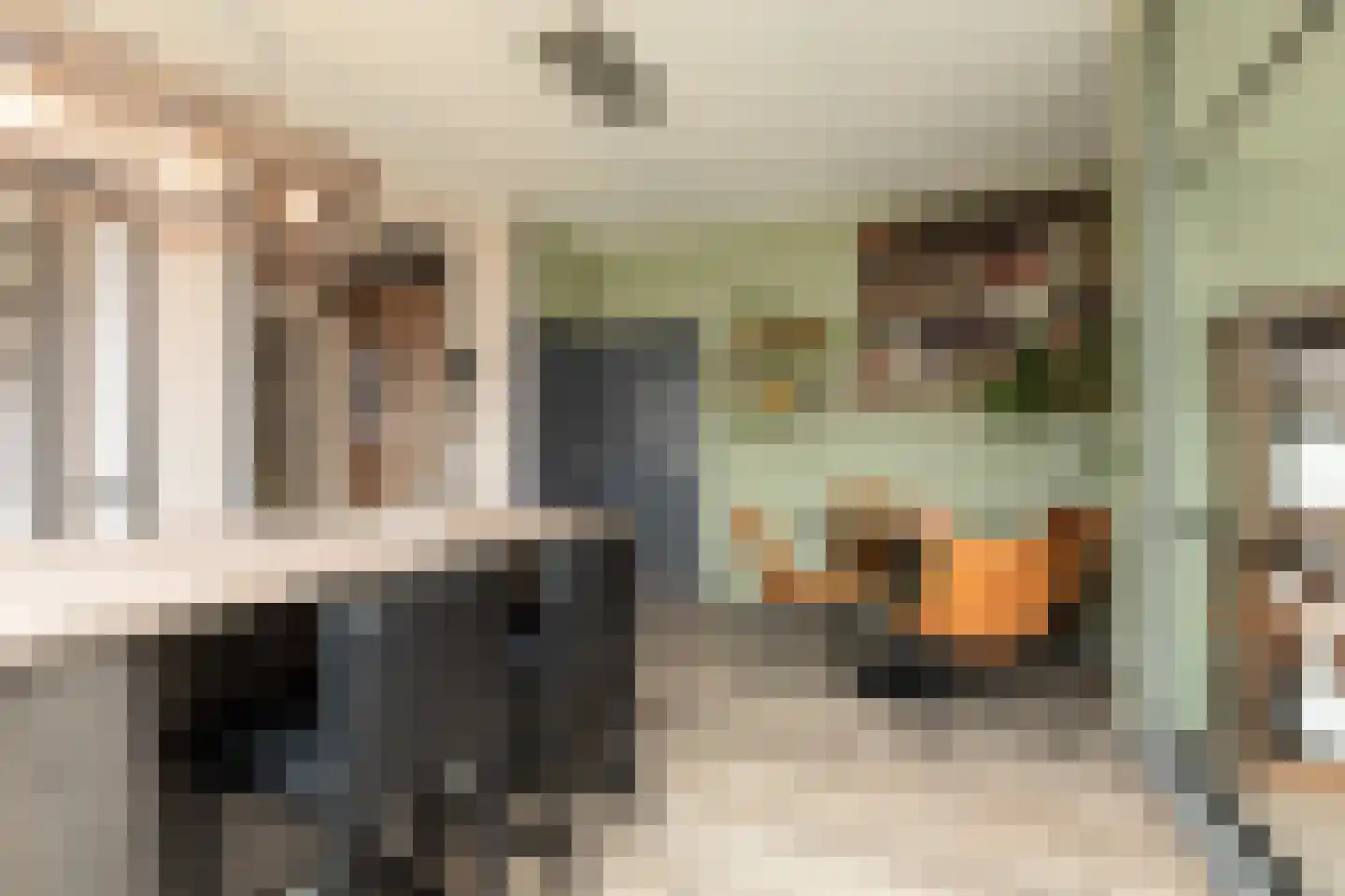 Ulbe Hiemstrastrjitte 4 Witmarsum thumbnail 13