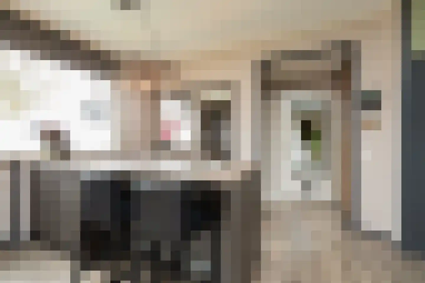 Ulbe Hiemstrastrjitte 4 Witmarsum thumbnail 14