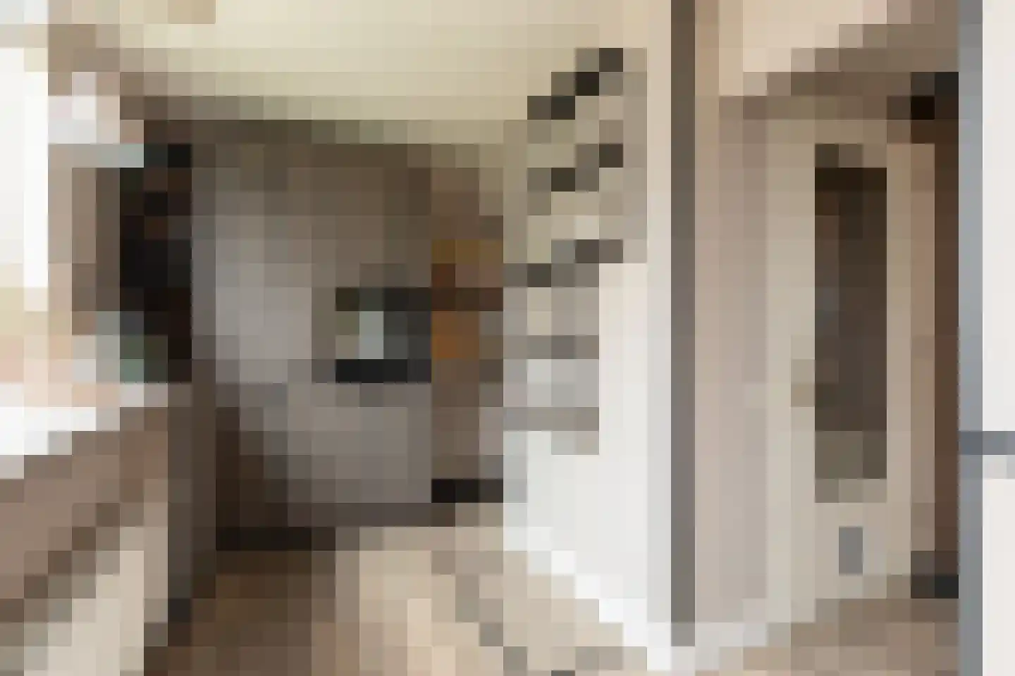 Ulbe Hiemstrastrjitte 4 Witmarsum thumbnail 15