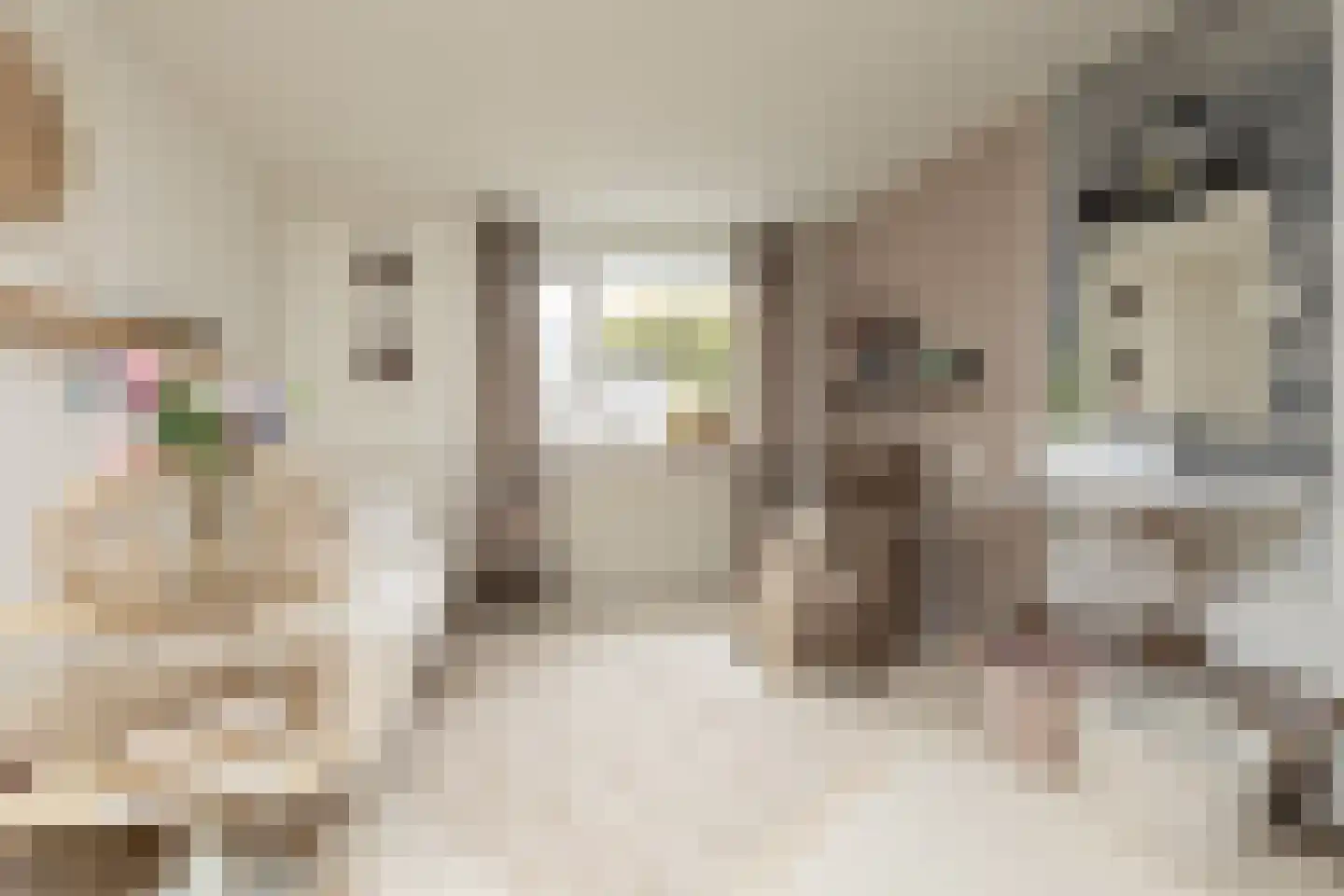 Ulbe Hiemstrastrjitte 4 Witmarsum thumbnail 18