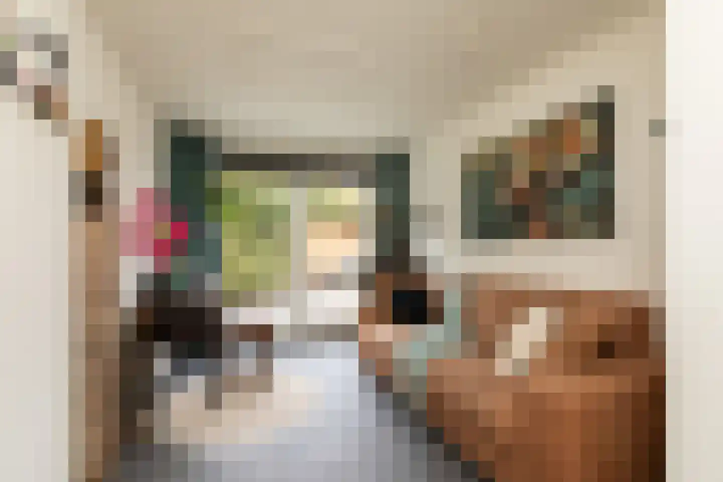 Ulbe Hiemstrastrjitte 4 Witmarsum thumbnail 19