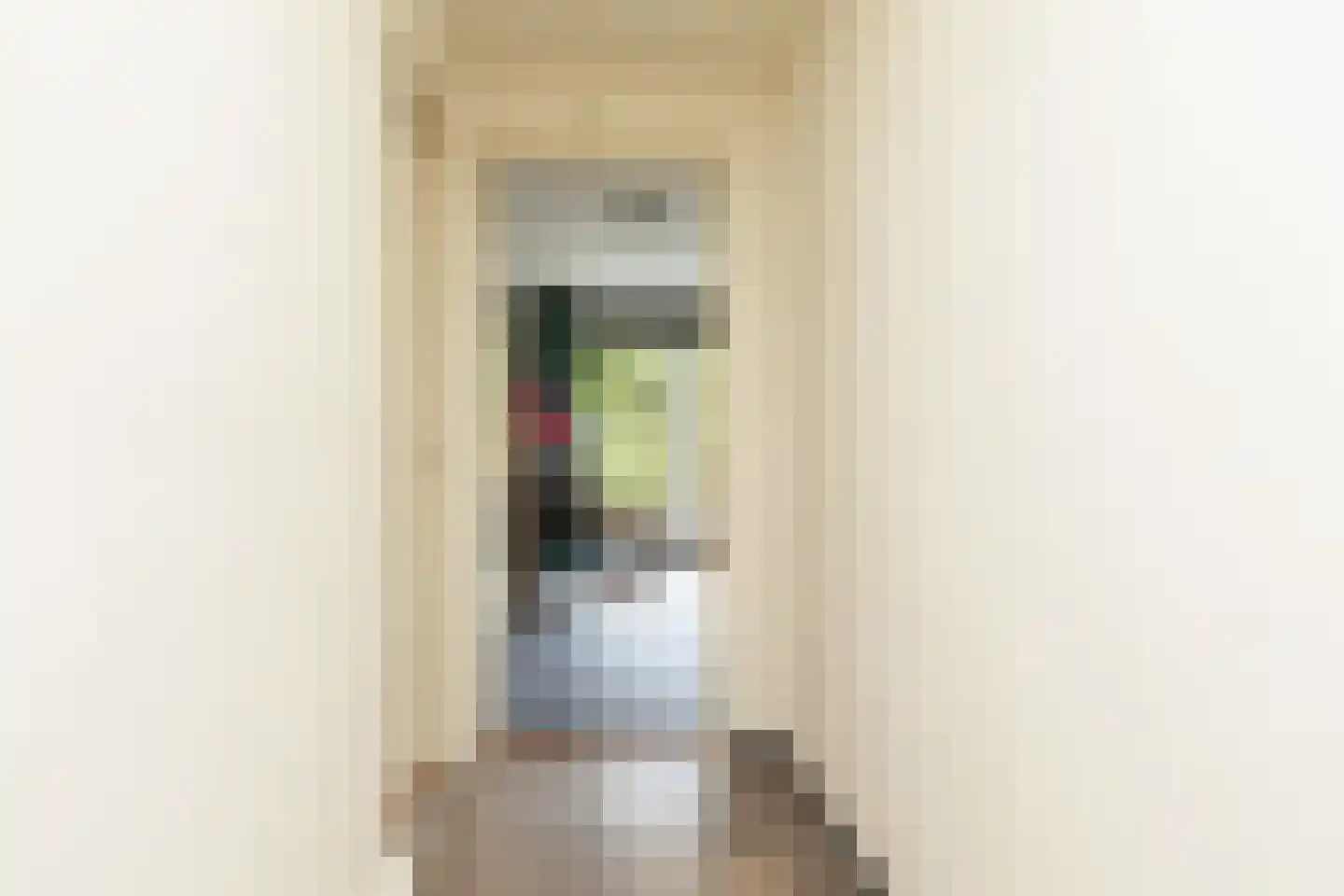 Ulbe Hiemstrastrjitte 4 Witmarsum thumbnail 21