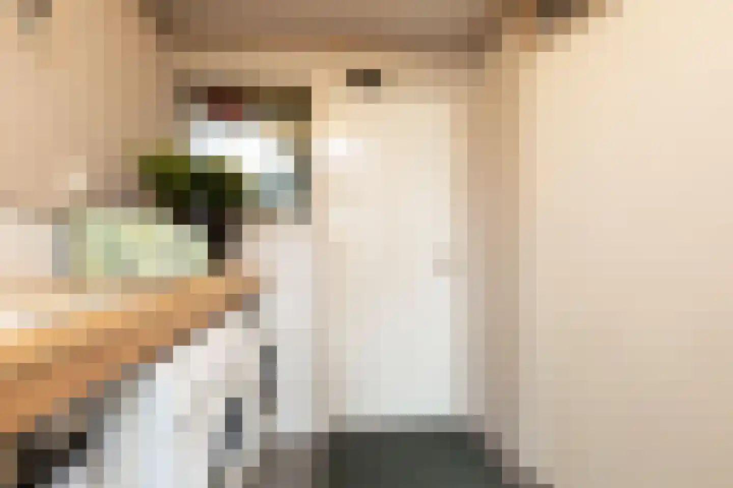 Ulbe Hiemstrastrjitte 4 Witmarsum thumbnail 27
