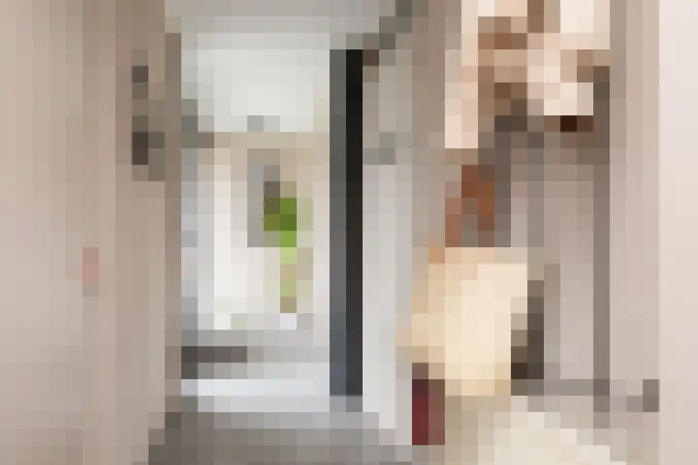 Ulbe Hiemstrastrjitte 4 Witmarsum thumbnail 28