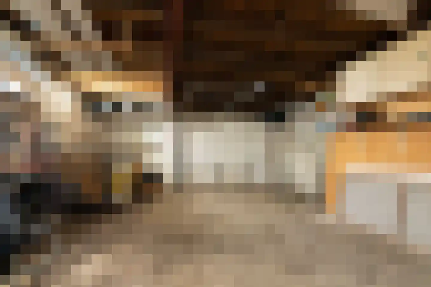 Ulbe Hiemstrastrjitte 4 Witmarsum thumbnail 39