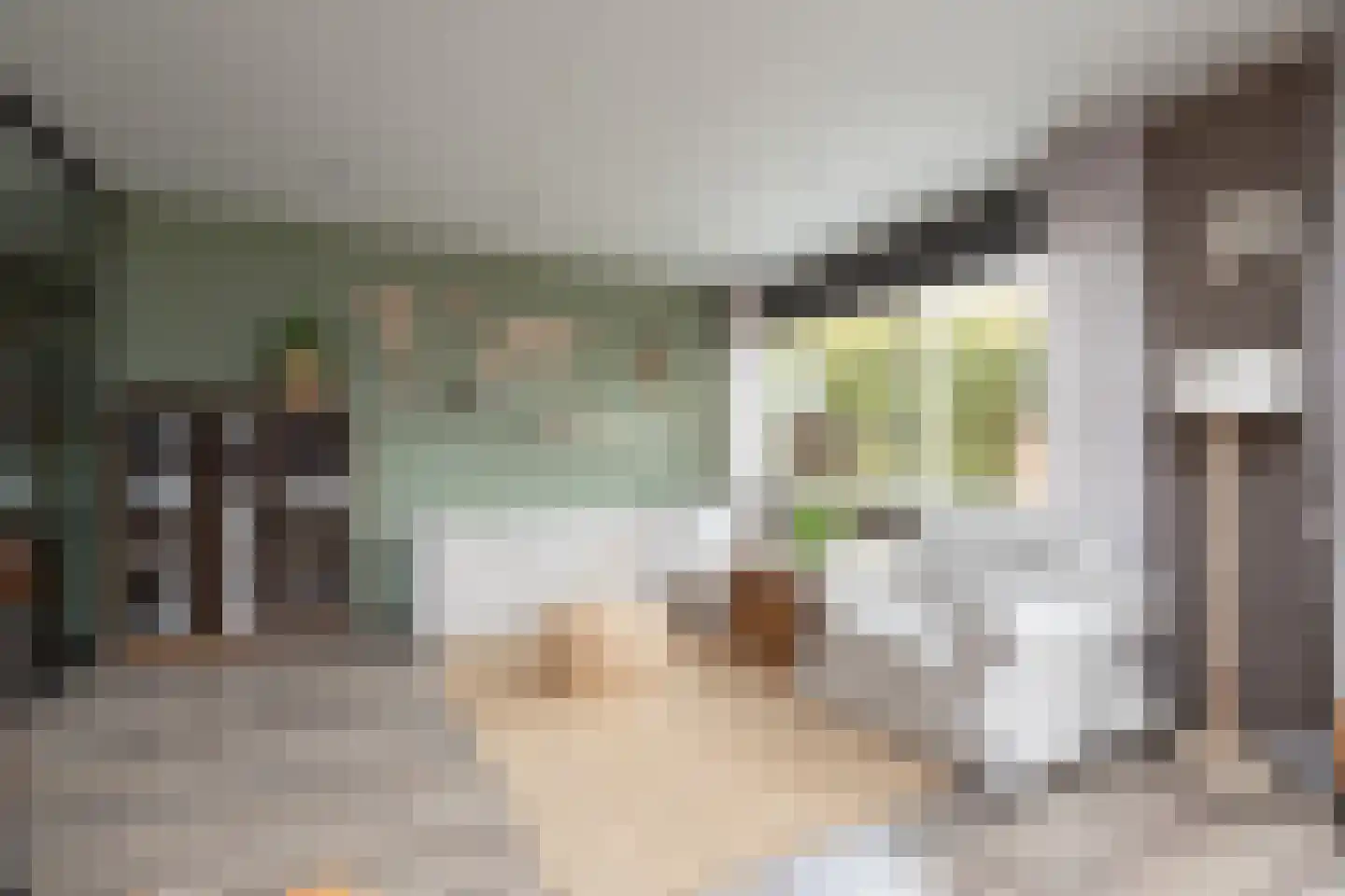 Ulbe Hiemstrastrjitte 4 Witmarsum thumbnail 6