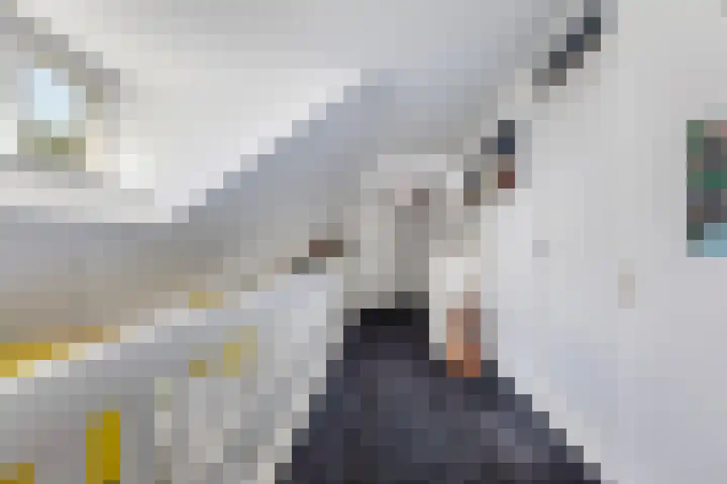 Ulbe Hiemstrastrjitte 6 Witmarsum thumbnail 22