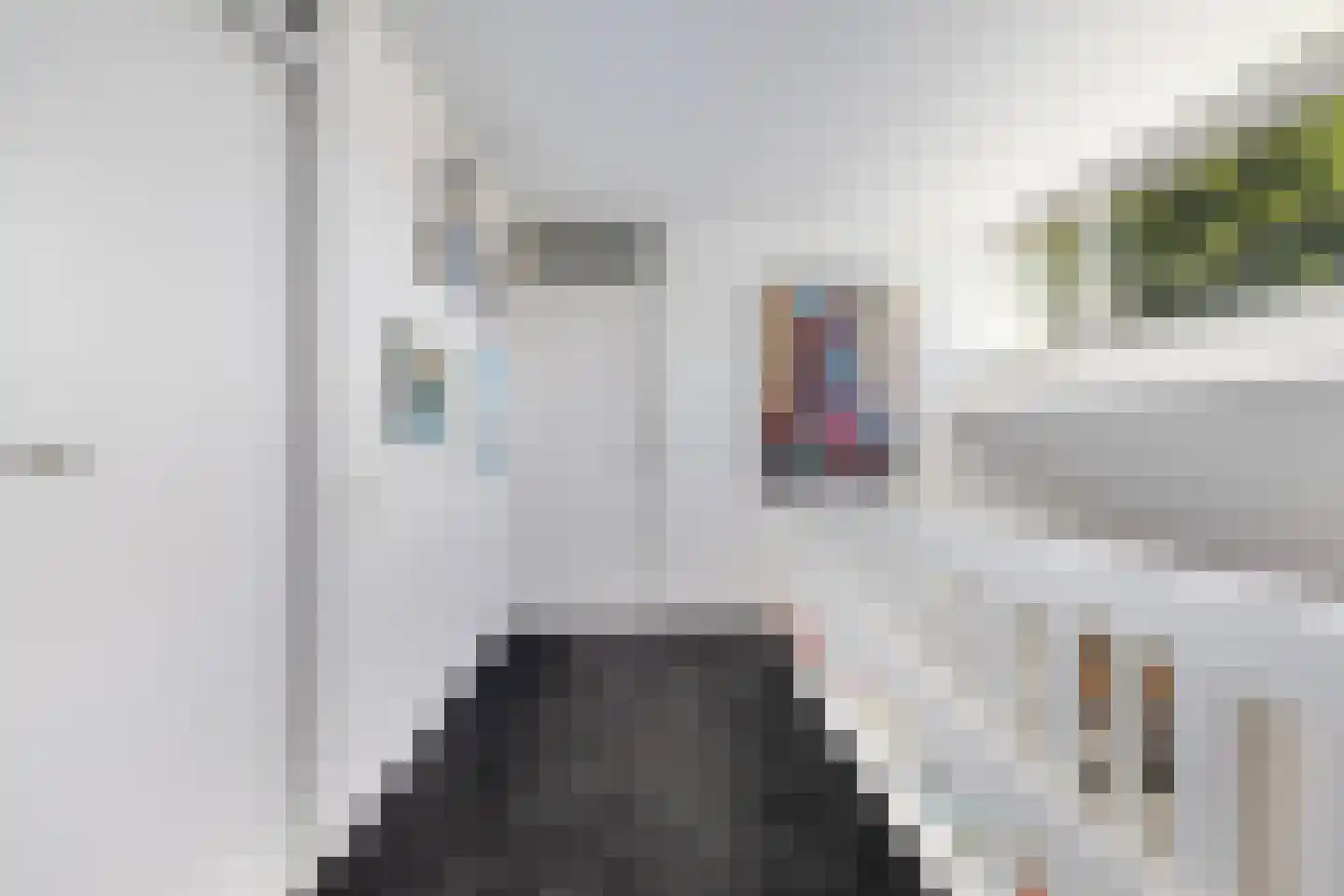 Ulbe Hiemstrastrjitte 6 Witmarsum thumbnail 23