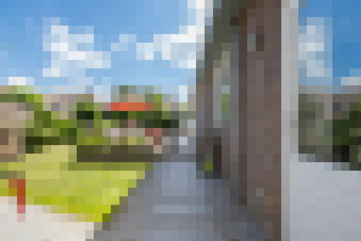 Ulbe Hiemstrastrjitte 6 Witmarsum thumbnail 41