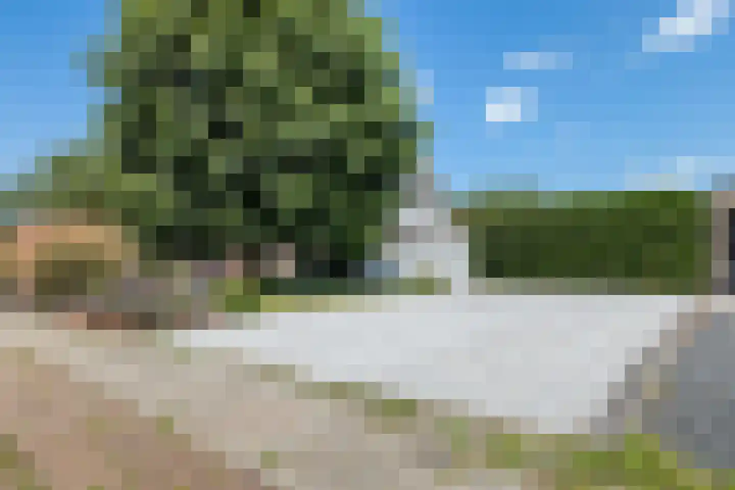 Ulbe Hiemstrastrjitte 6 Witmarsum thumbnail 51