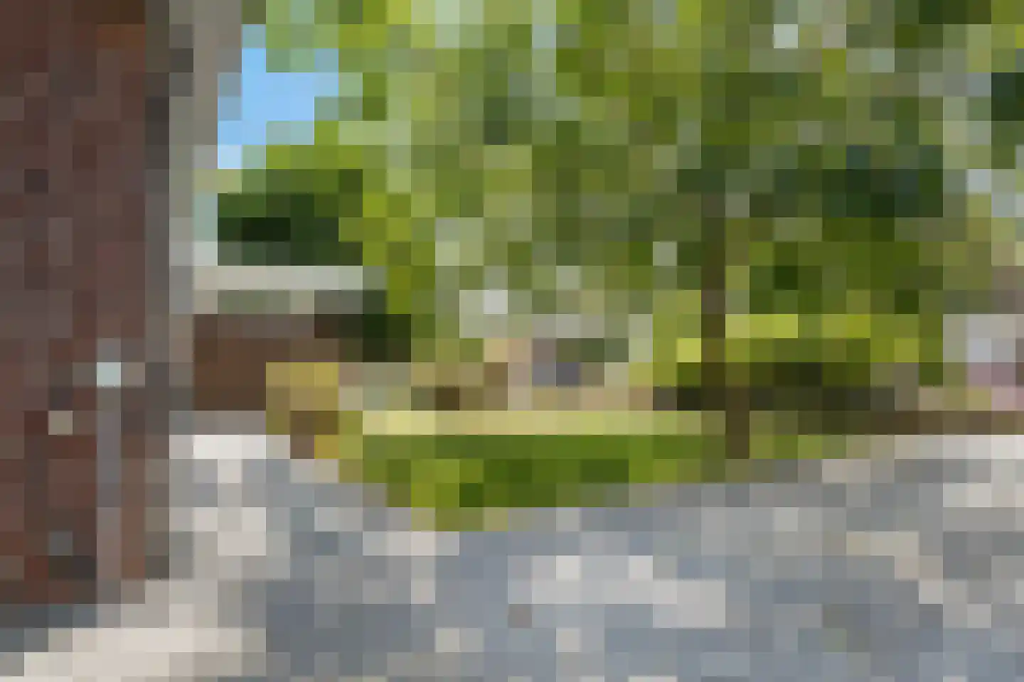 Ulbe Hiemstrastrjitte 6 Witmarsum thumbnail 53