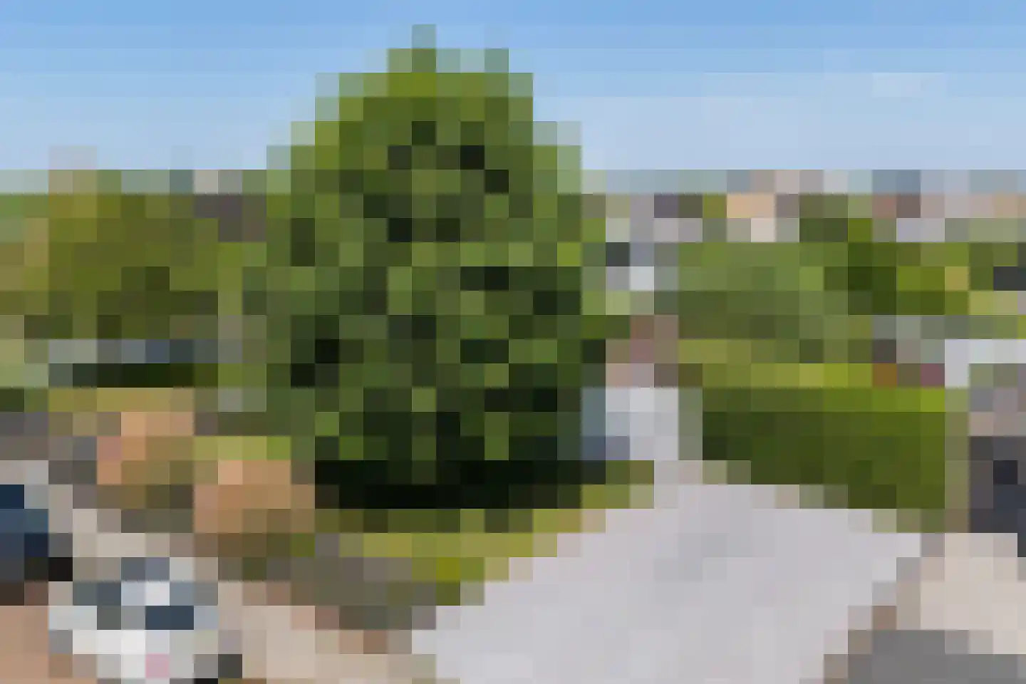 Ulbe Hiemstrastrjitte 6 Witmarsum thumbnail 55