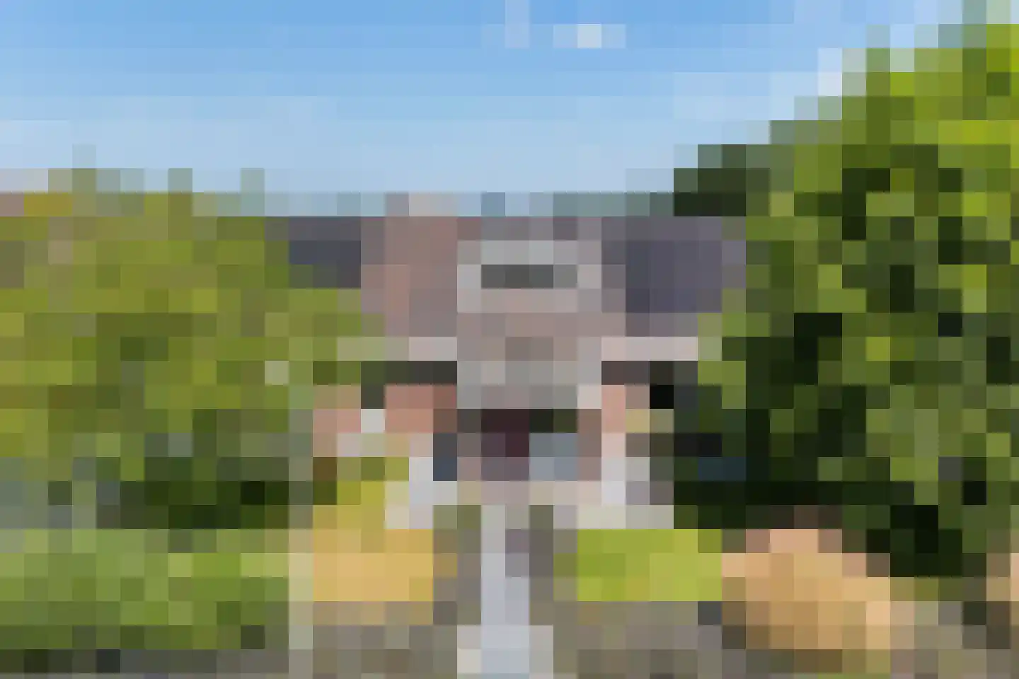 Ulbe Hiemstrastrjitte 6 Witmarsum thumbnail 56