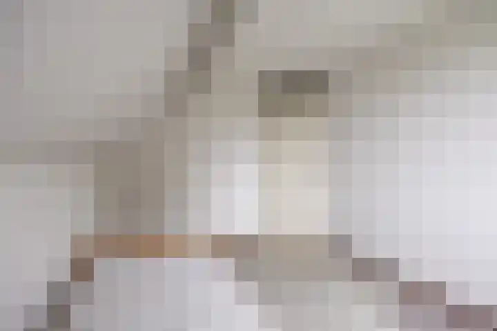 Ulbe Twijnstrawei 25 A Akkrum thumbnail 29