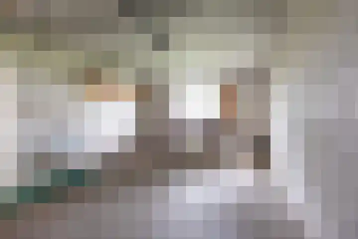 Ulbe Twijnstrawei 25 A Akkrum thumbnail 39