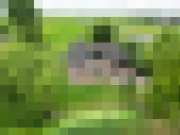 Ulbe Twijnstrawei 25 A Akkrum thumbnail 4