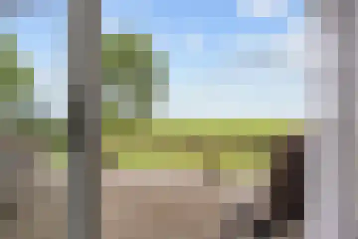 Ulbe Twijnstrawei 25 A Akkrum thumbnail 41