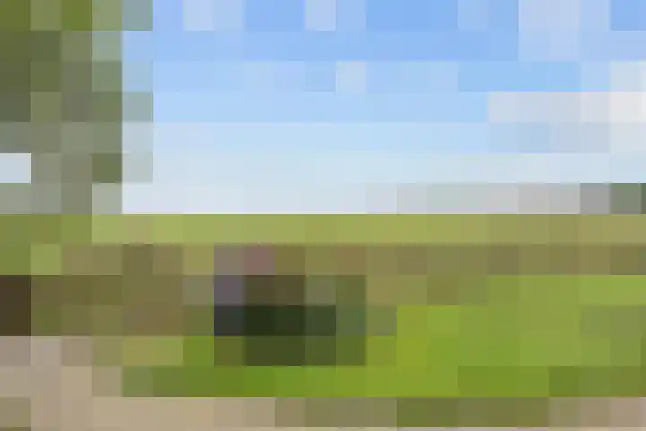 Ulbe Twijnstrawei 25 A Akkrum thumbnail 42