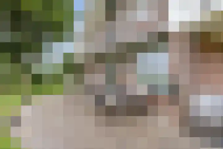 Ulbe Twijnstrawei 25 A Akkrum thumbnail 43
