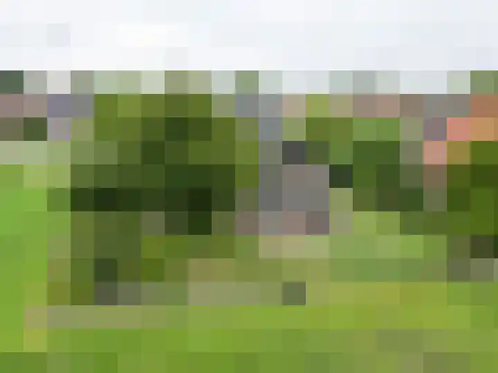 Ulbe Twijnstrawei 25 A Akkrum thumbnail 45