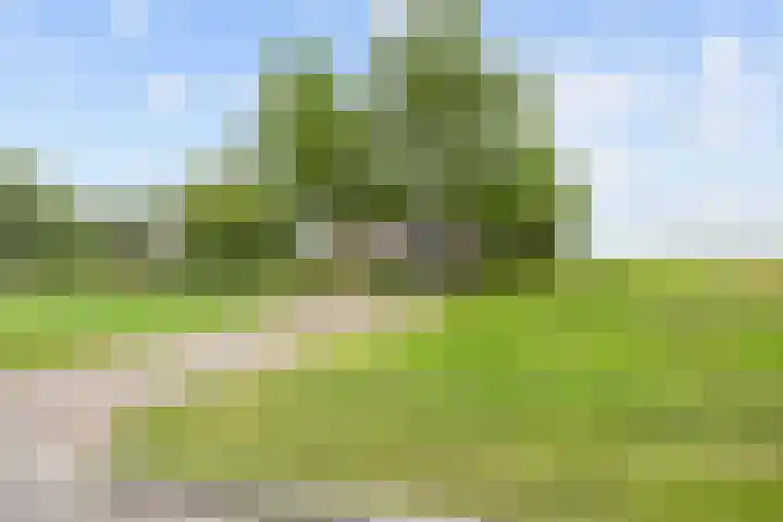 Ulbe Twijnstrawei 25 A Akkrum thumbnail 46