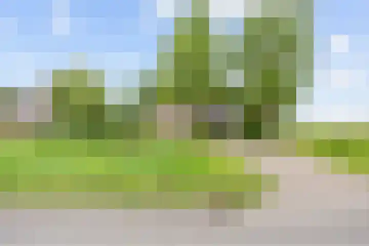 Ulbe Twijnstrawei 25 A Akkrum thumbnail 47
