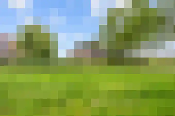 Ulbe Twijnstrawei 25 A Akkrum thumbnail 48