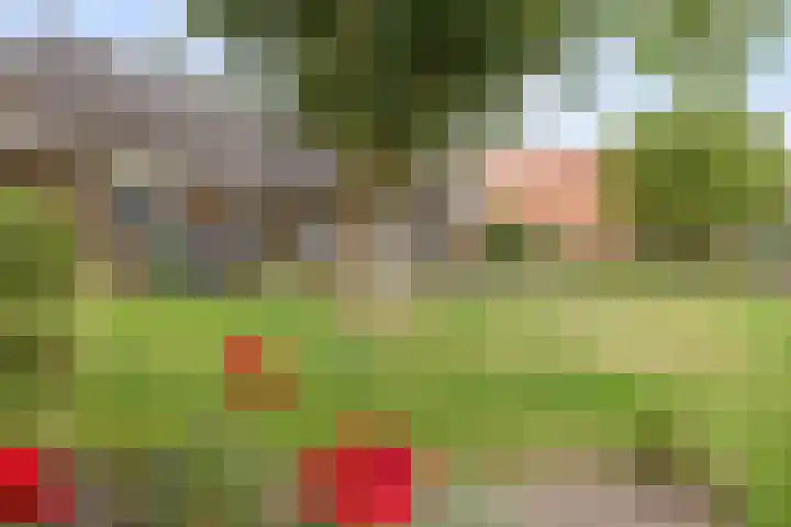 Ulbe Twijnstrawei 25 A Akkrum thumbnail 49