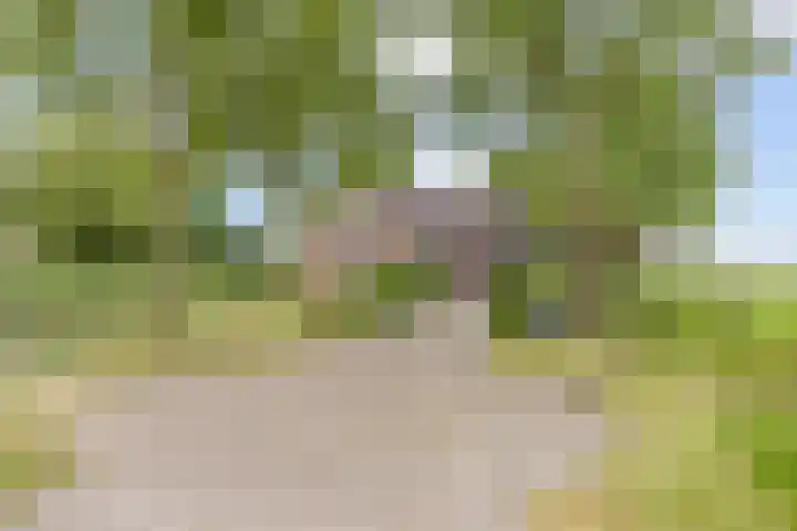 Ulbe Twijnstrawei 25 A Akkrum thumbnail 5