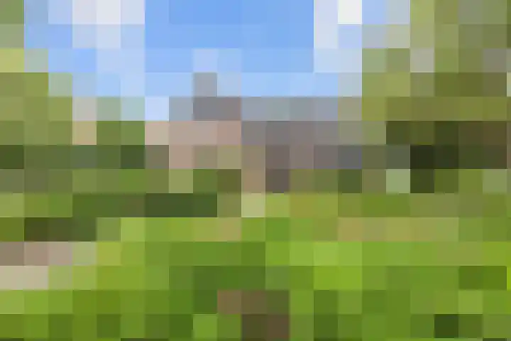 Ulbe Twijnstrawei 25 A Akkrum thumbnail 51