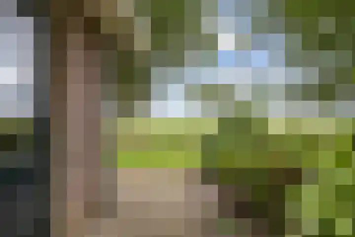 Ulbe Twijnstrawei 25 A Akkrum thumbnail 52