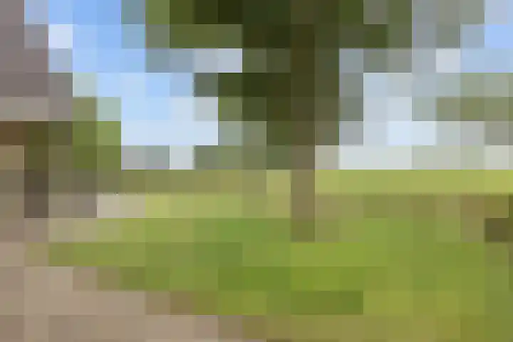 Ulbe Twijnstrawei 25 A Akkrum thumbnail 53