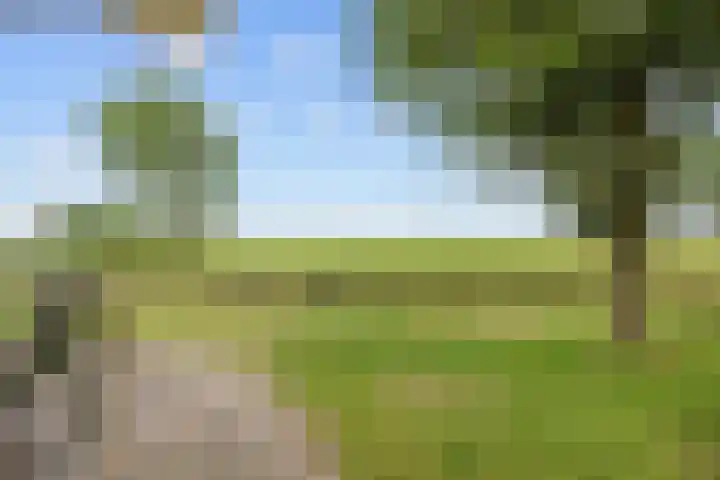 Ulbe Twijnstrawei 25 A Akkrum thumbnail 55