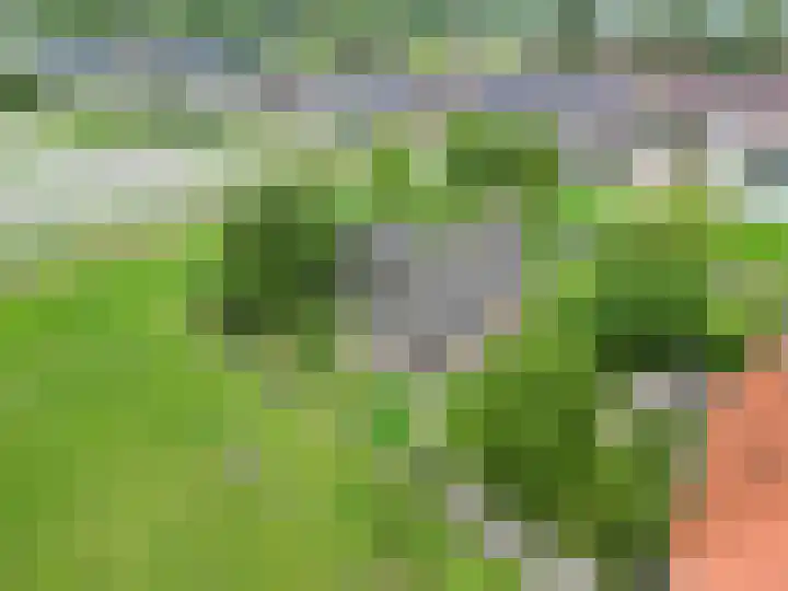 Ulbe Twijnstrawei 25 A Akkrum thumbnail 56