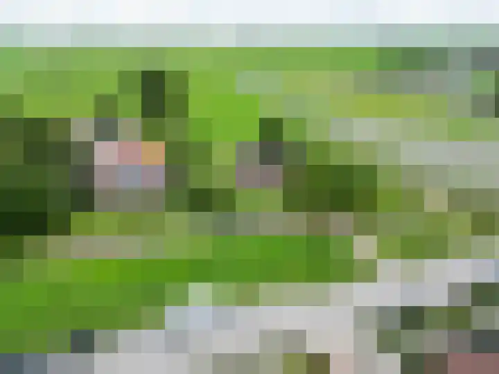 Ulbe Twijnstrawei 25 A Akkrum thumbnail 57