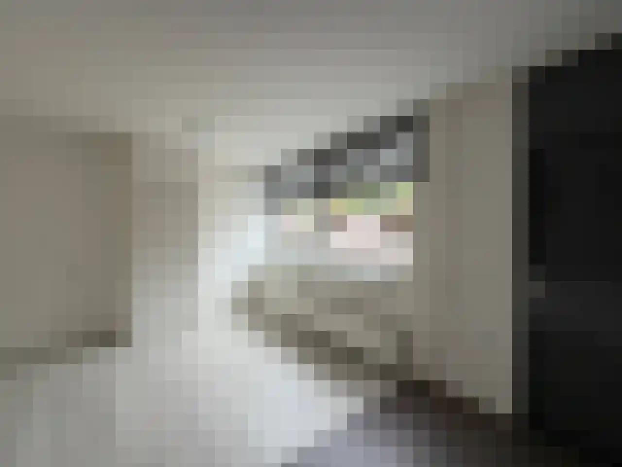 Ulbe van Houtenplein 8 Franeker thumbnail 13