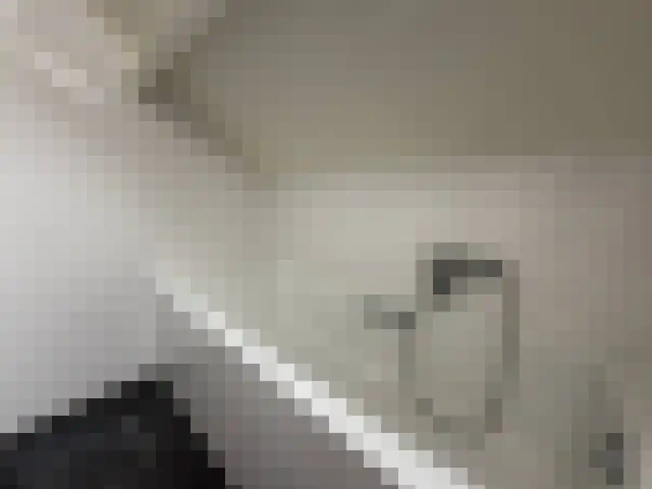 Ulbe van Houtenplein 8 Franeker thumbnail 30