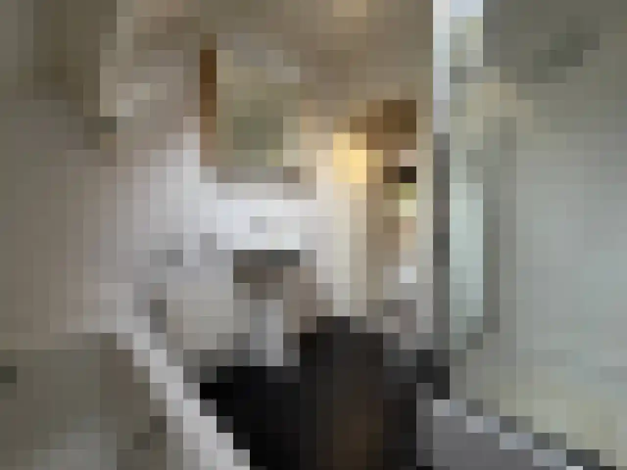 Ulbe van Houtenplein 8 Franeker thumbnail 31