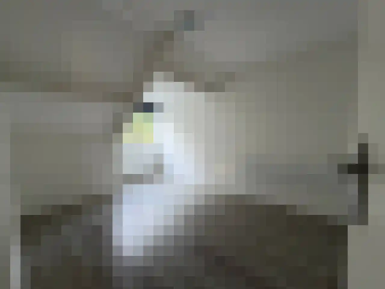 Ulbe van Houtenplein 8 Franeker thumbnail 32