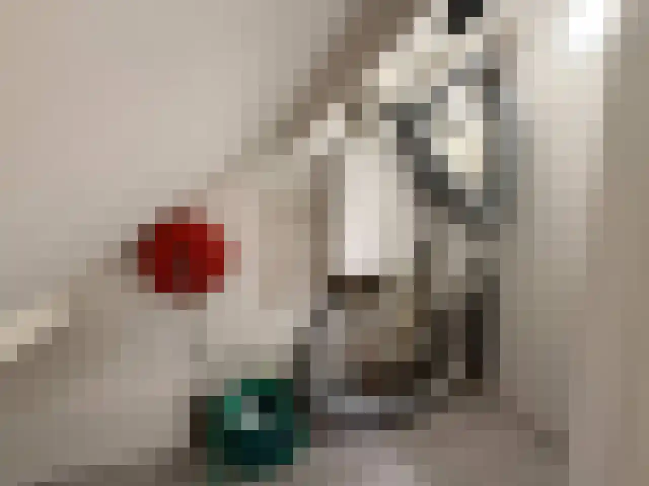 Ulbe van Houtenplein 8 Franeker thumbnail 46