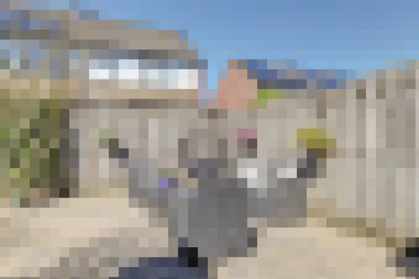 Ulbe van Houtenstrjitte 22 Gytsjerk thumbnail 28
