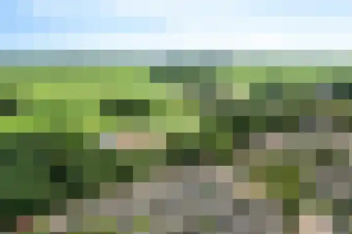 Ulbe van Houtenstrjitte 88 Gytsjerk