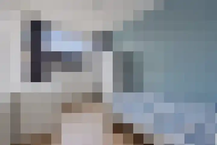 Ulbe van Houtenstrjitte 88 Gytsjerk thumbnail 18