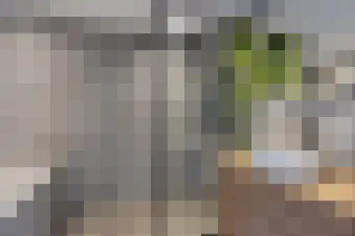 Ulbe van Houtenstrjitte 88 Gytsjerk thumbnail 22